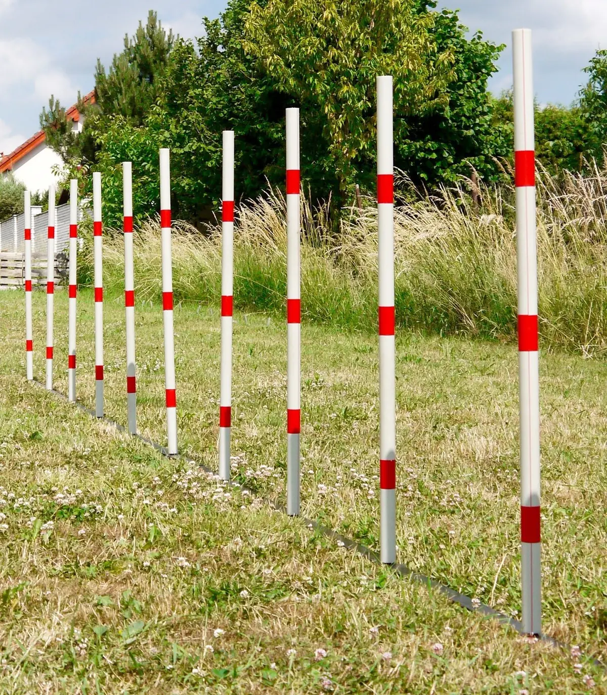 Agility slalom / weave poles